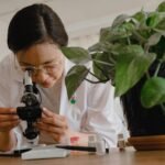 business innovation growth study