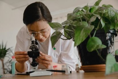 business innovation growth study